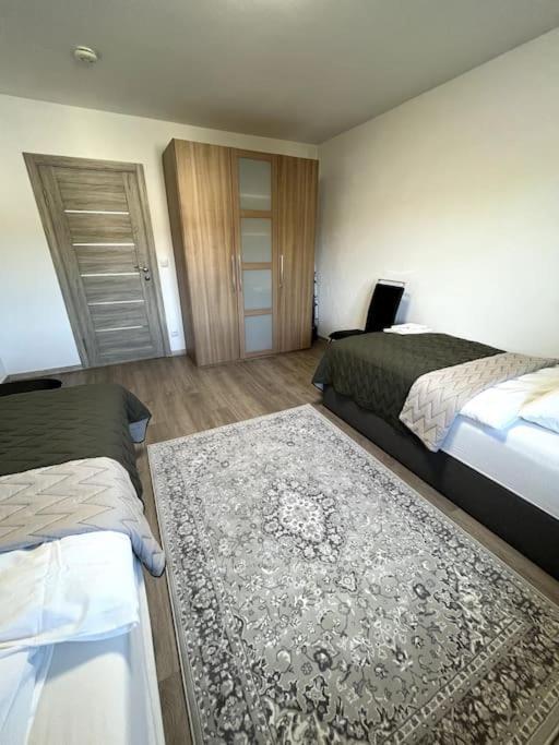 Familienwohnung Naehe Europapark, Messe, Gifiz See Όφενμπουργκ Εξωτερικό φωτογραφία